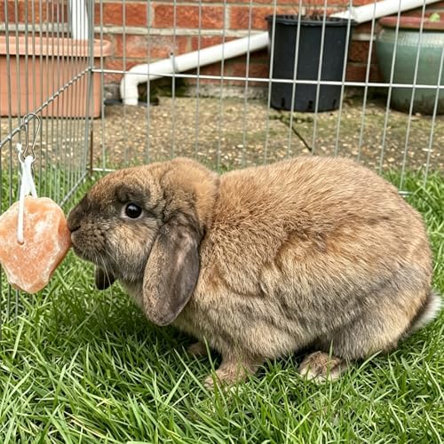 PINVNBY Rabbit Himalayan Salt Lick Block,Small Animals Chew Toys Rabbits Pink Natural Mineral Salts Blocks for Horses Bunny(8 Pcs)