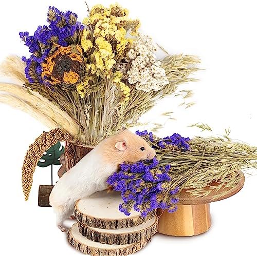 Natural Ear of Grain Flower&Herb Bedding Mate Habitat Decor, Adding Fun Hamster Accessories for Hamsters Gerbils Lemming
