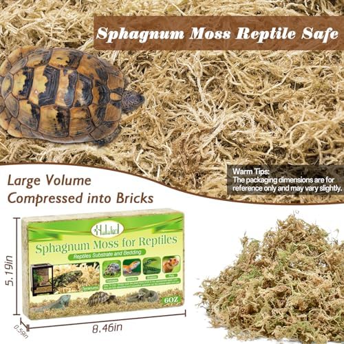 Sphagnum Moss for Reptiles, 6 oz Natural Terrarium Bedding Substrat