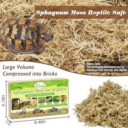 Sphagnum Moss for Reptiles, 6 oz Natural Terrarium Bedding Substrat