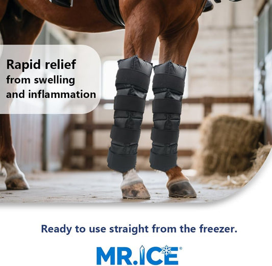 Horse Ice Boot Wraps - Reusable Gel Ice Pack for Horses Boots | Cooling Boot for Horse Injuries& Post-Training, Hock, Knee & Ankle | Horse Supplies & Care Gift Ideas - 1 Pair/Black