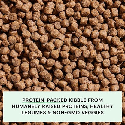 Open Farm Grain Free Dry Puppy Food, Chicken & Salmon Kibble, 4lb Bag