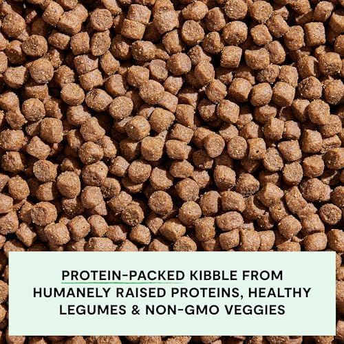Open Farm Grain Free Dry Dog Food, Senior Dog Kibble, 4lb Bag