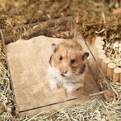 DR.DUDU 12lb Hamster Sand for Sand Bath, Hamster Cage Accessories(Beige)