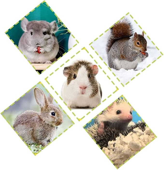 Hamster Small Animal Sand Bath Box Bathtub Critter's Bathroom with Bath Sand and Scoop Accessories for Mice Hedgehog Lemming Gerbils or Other Small Pets (Medium)