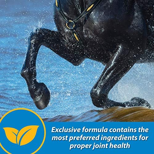 Farnam Fluidflex Glucosamine Joint Supplement for Horses, 32 oz., 32 Day Supply