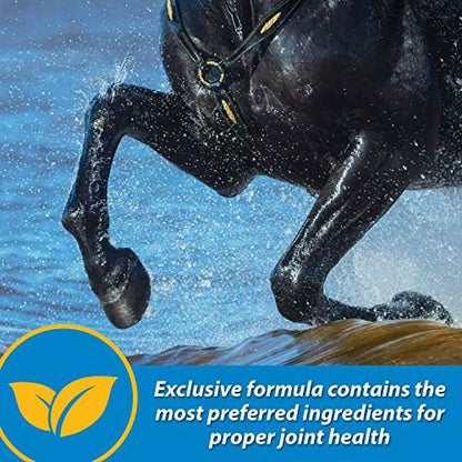 Farnam Fluidflex Liquid Joint Supplement for Horses, 128 Day Supply, 128 oz