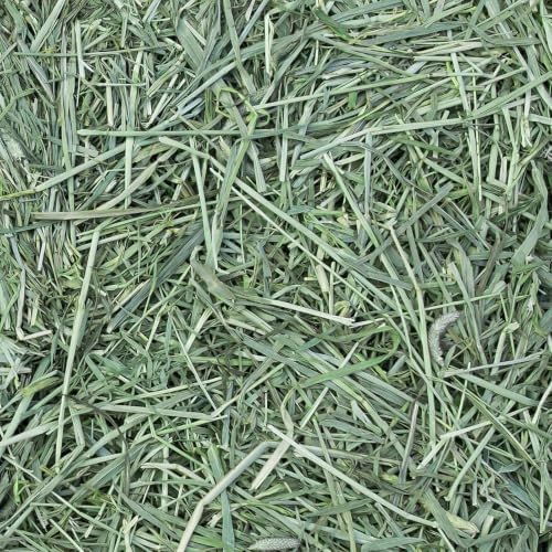 Eaton Pet and Pasture Western Timothy Hay Orchard Blend for Pets, 25 Lb Box