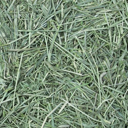 Eaton Pet and Pasture Western Timothy Hay Orchard Blend for Pets, 25 Lb Box