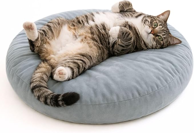 Orthopedic Cat Bed, 20 Inches Round Shape, Durable Pet Cushion for Cats and Small Dogs, Stylish and Neutral Design, Ultimate Comfort, Easy to Clean, Stain-Resistant (Enchanted Blue)