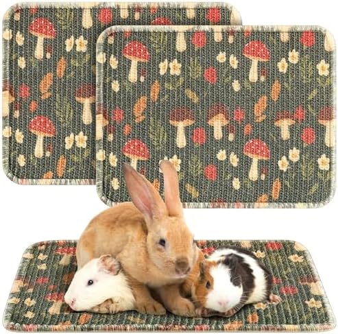 Drydiet 2 Pcs 16 x 12 in Rabbit Mat Scratch Pad Bunny Chew Toy Cage Bedding