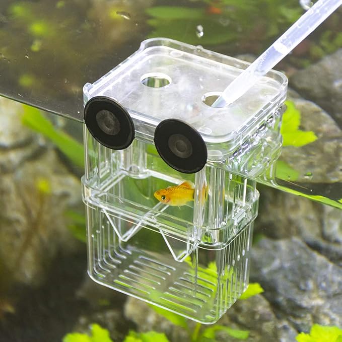 Senzeal Aquarium Fish Breeder Box Plastic Fish Isolation Breeding Box Hatching Incubator Box for Baby Fishes Shrimp Clownfish Guppy