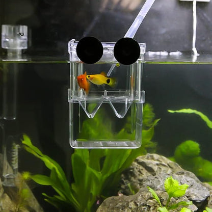 Senzeal Aquarium Fish Breeder Box Plastic Fish Isolation Breeding Box Hatching Incubator Box for Baby Fishes Shrimp Clownfish Guppy