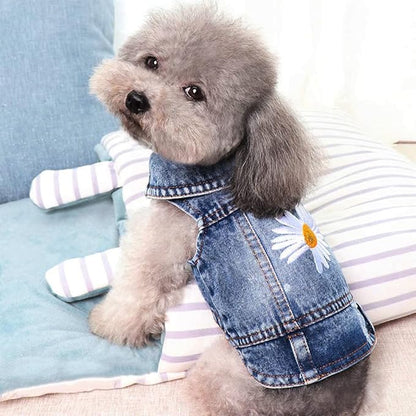 Pawstrip Dog Denim Jacket with Embroidered Daisy, Ripped Vintage Jean Vest for Small Dogs, Pugs, Chihuahuas, Spring Summer Fall Festival Outfit, XXL (Fits Chest 19-20.5", NOT for Large Dogs)