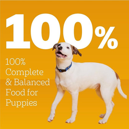 Pedigree Puppy Chopped Ground Dinner Wet Puppy Food with Lamb & Rice, Canned Dog Food, 13.2 oz. Cans, 12 Count
