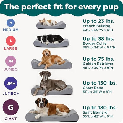 FurHaven Orthopedic Dog Bed for XX-Large Dogs, Luxe Lounger Contour Mattress with Medical-Grade Solid Orthopedic Foam for Joint Support, Removable Washable Cover - Jumbo Plus/XXL, Plush Suede, Cream