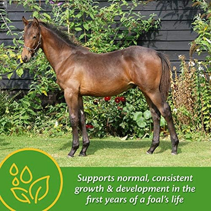 Farnam Grow Colt Supplement for Foal Growth & Development, 30 Day Supply