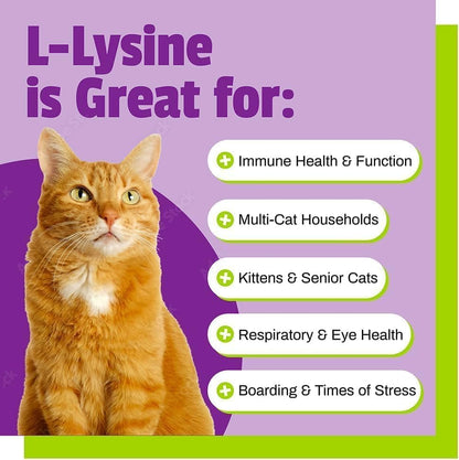 Pet Naturals Lysine Soft Chews, Immune and Respiratory Support for Cats, No Wheat or Corn, Vet Formulated, Value Size, Chicken, 160 Count