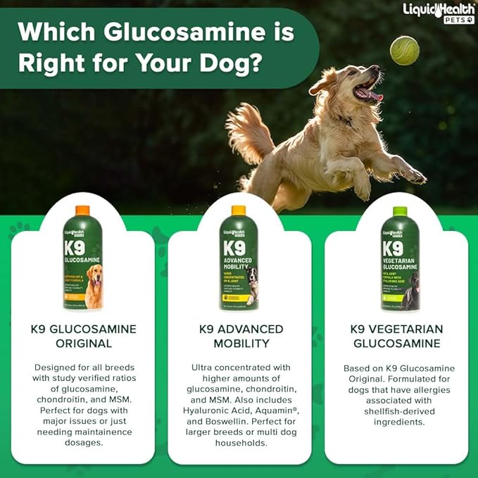 LIQUIDHEALTH Pets K9 Advanced Mobility Liquid Glucosamine Level 5000 for Large Dogs with Chondroitin, MSM, Boswellia Serrata - Dog Hip & Joint Health Vitamins, Pet Joint Oil Juice - USA Made (32 oz)