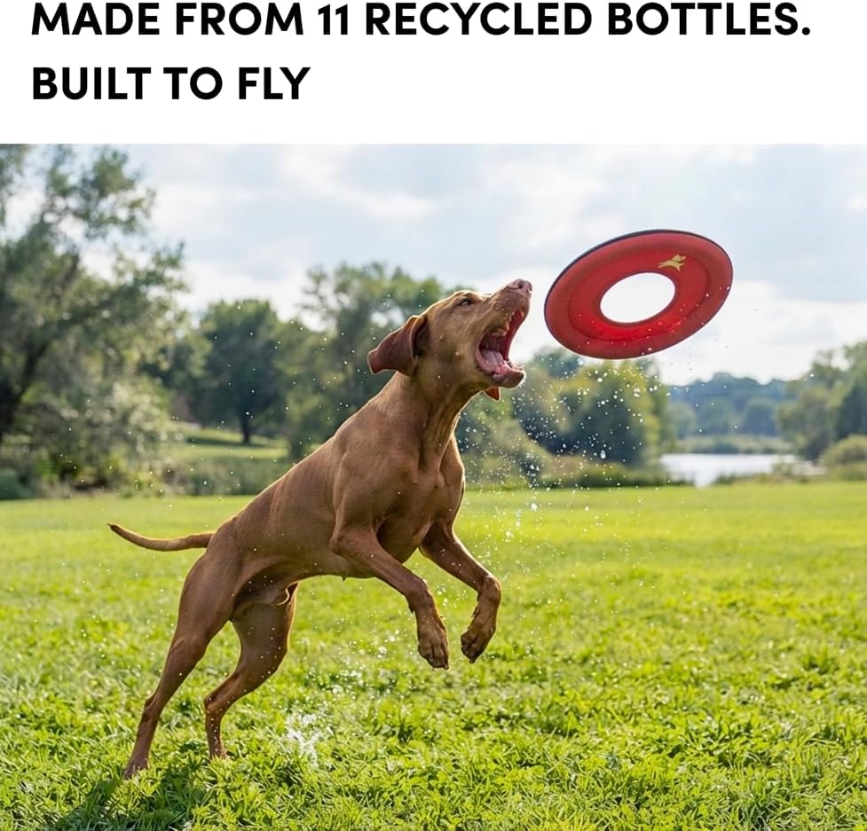 OllyDog Super Flyer Dog Flying Disc – Floating Fetch Toy for Water Play, Soft Eco-Friendly Recycled Fabric, Gentle on Teeth, 11" for Medium & Large Dogs (Desert, 11")