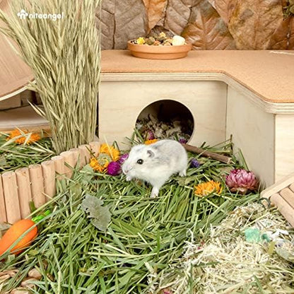 Niteangel Natural & Soft Hamster Bedding Mate: Air-Dried Flowers & Grass