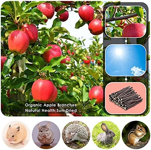 ERKOON Natural Apple Sticks 300g (10.5oz Small Animals Molar Chew Toys Apple Branch Chew Treats for Hamster Rabbit Chinchilla Bunny Guinea Pig Squirrel