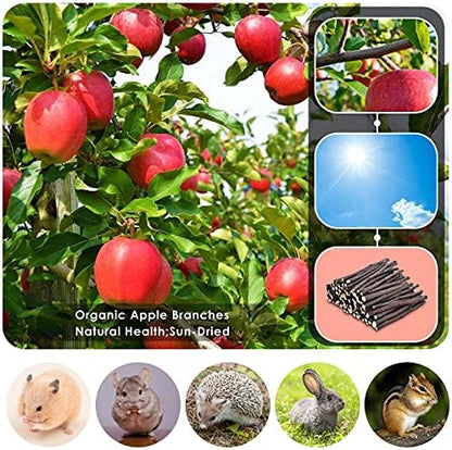 ERKOON Natural Apple Sticks 500g (1.1lb) Small Animals Molar Chew Toys Apple Branch Chew Treats for Hamster Rabbit Chinchilla Bunny Guinea Pig Squirrel
