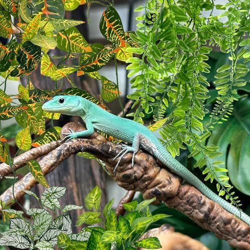 Hamiledyi Reptile Plants for Terrarium Hanging Fake Leaves with Suction Cup