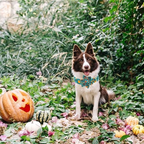 Dog Collar Autumn Green Pumpkin Print Pet Collar Fall Soft Cute Dog Collars with Flower Adjustable Metal Buckle Collar for Medium Dogs