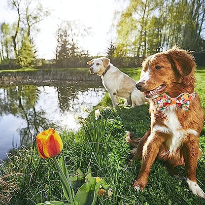 Lionheart glory Premium Floral Dog Collars, Bowtie Dog Collar, Adjustable Heavy Duty Girl Dog Collar with Bow for X-Small Dogs