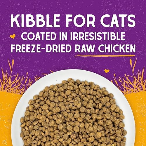 Stella & Chewy's Raw Coated Cat Food - High Protein, Grain-Free Kibble with Cage-Free Chicken - Premium Digestive Support with Probiotics - Natural Small Kibble - Perfect For Picky Eaters - 5 lb Bag