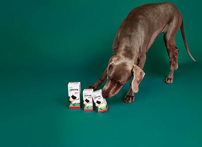 4CYTE Epiitalis Forte Dog Joint Supplement Gel – Mobility, Flexibility & Cartilage Support