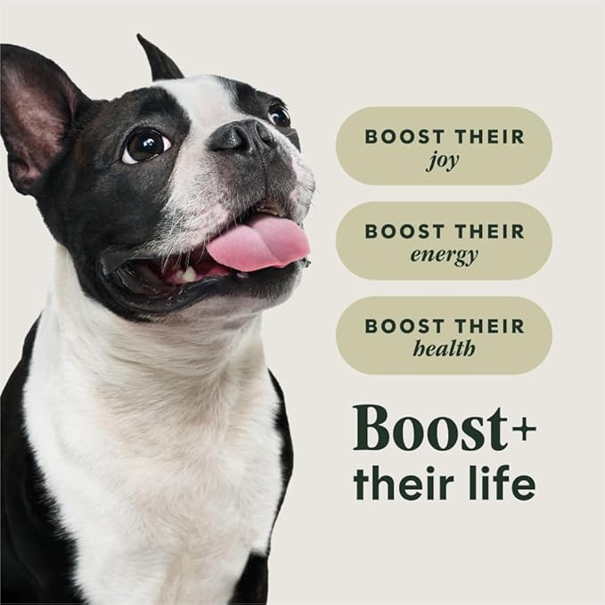 Instinct RawBoost Small Breed, Natural Dry Dog Food with FreshDried Raw, High Protein, Grain-Free Recipe - Real Chicken, 10 lb. Bag