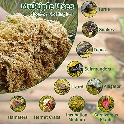 Riare 5.3oz Natural Sphagnum Moss for Reptiles- Terrarium Reptiles Moss
