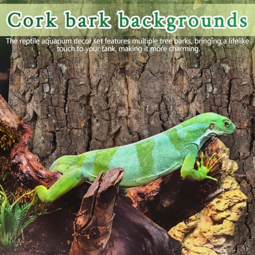 SHINEOFI Cork Bark Reptile Tank Background 4 pcs Terrarium Decor for Gecko Lizard Frog Bearded Dragon Natural Bark Pieces 5.90 X 5.90 X 0.78 in