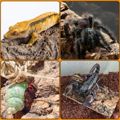 BNOSDM Reptiles Cork Bark Substrate,1.4lb Bearded Dragon Champagne Cork Bark Flats Hide Climbing,Reptiles Wood Bedding Terrarium Decor Tank Accessories for Lizards Snake Gecko Tarantula Isopods（M）