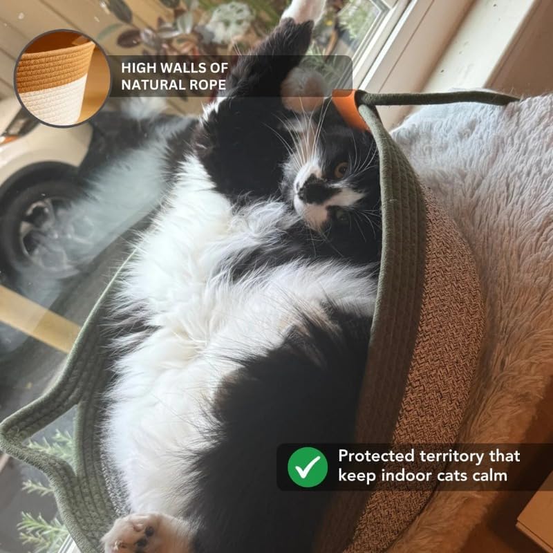 Instinct Basket | Meet The First Research-Backed Natural Territory for Indoor Cats (Brown,S)