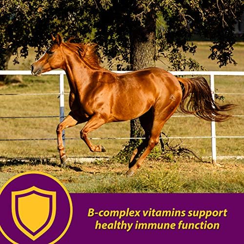Farnam Horse Health Red Cell Pellets, Vitamin-Iron Mineral Supplement for Horses, Iron Horse Supplement, 4 Lbs., 64-Day Supply, Pellets