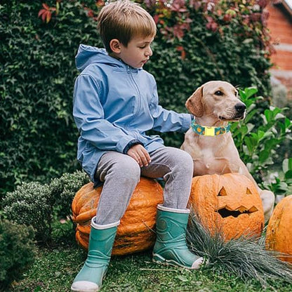 Dog Collars, Fall Dog Collar Fall Pumpkin Print Pet Collar Durable Metal Collar Cute Soft Dog Collar Puppy Collars Adjustable Dog Collar for X-Small Dogs