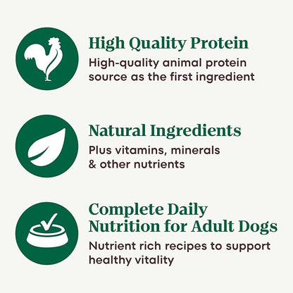 Nutro Hearty Stew Canned Wet Dog Food, Natural Grain Free Dog Food Wet Cuts in Gravy Chunky Beef, Tomato, Carrot & Pea, 12.5 oz Cans (12 Count, Pack of 1)