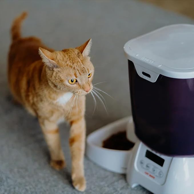 Cat Mate C3000 Automatic Dry Food Pet Feeder with Digital Timer, 3 Meals