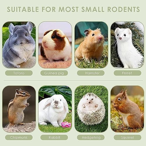 ERKOON Timothy Hay Sticks,Rabbit Chew Toys for Teeth Natural Molar Sticks Rabbits Treats for Bunnies, Chinchilla Guinea Pigs, Gerbil, Hamster (75 Pcs)