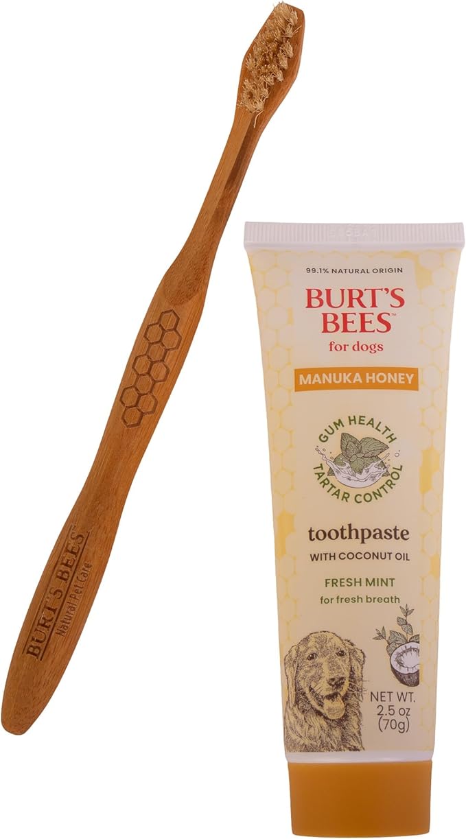 Burt's Bees for Pets Dental Kit for Dogs with Bamboo Toothbrush & Toothpaste with Manuka Honey and Coconut Oil for Gum Health & Tartar Control, 99.1% Natural Origin Formula, Fresh Mint Flavor, 2.5 oz