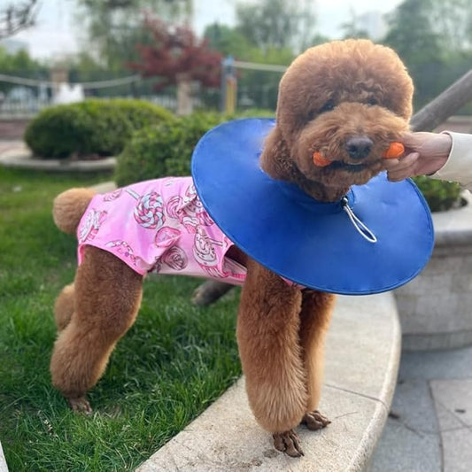 Xqpetlihai Dog Onesie Surgery Recovery Suit for Medium Large Dogs Recovery Shirt for Abdominal Wounds or Skin Diseases Bodysuit Dogs Pajamas(SW,XXL)