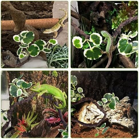 PINVNBY Flexible Bend-A-Branch Jungle Climbing Vines Suction Branch Reptile Tank Accessories Pet Habitat Decor Reptile Plants Terrarium for Leopard Gecko, Lizard, Snake, Chameleon, Frog (Green)