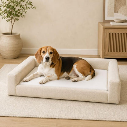 Mini Cloud Bed - Removable and Washable Covers - Upholstered Minimalist Modern Luxury - Toddler Baby Pet Dog Cat Nursery (Black, Medium)