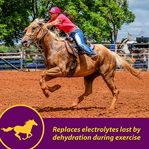 Farnam Horse Health Apple-Dex Apple Flavored Electrolytes Powder for Horses, 5 pound