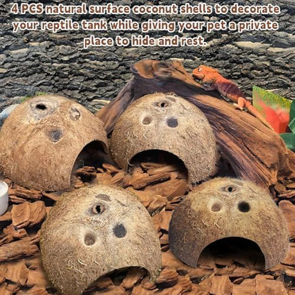 PINVNBY Natural Coconut Reptile Hideouts Lizard, Coco Hut Hermit Crab Hut Aquarium Fish Hide Cave for Small Reptile Crested Gecko Leopard Gecko Spider Snail Climber Toys (4 PCS Natural Surface)
