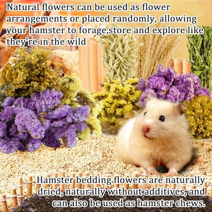 Sukh 42Pcs Hamster Sprays Natural - Sprays & Forage for Small Animals