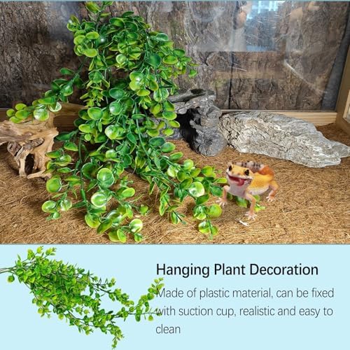9PCS Reptile Crested Gecko Hide Coconut Hut Climbing Ladder Plants Decor